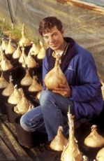 Семена на Кромид Лук сорт Аилса Крейг гигант (Allium cepa) - 200 бр. (1 гр.)