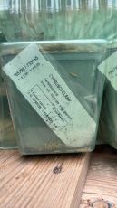 Луковица на Розова Момина сълза (Convallaria majalis Rosea) - 1 бр