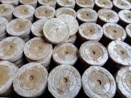 Jiffy-7 39мм. - Пресовани торфени пелети / тапи / шайби - 1000бр. (кашонче) - Нов стандар в размерите