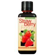 Strawberry Focus 300 ml. - Fertilizer for Strawberries