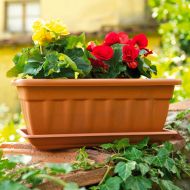 Саксия Cassiopea 60×20×16, антрацит — 12,5 л