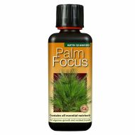 Palm Focus - fertilizer for palm plants