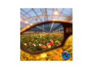 Newlite Vision - очила за HPS лампи