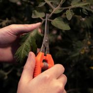 Garden shears CHIKAMASA TP-530S (ultralight)