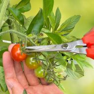 Garden shears CHIKAMASA TP-530S (ultralight)