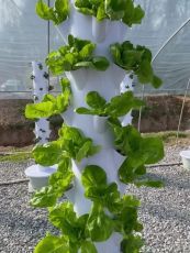 Hydroponic Vertical Tower with 7 levels