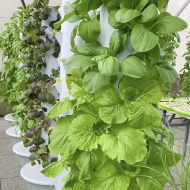 Hydroponic Vertical Tower with 7 levels
