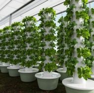 Hydroponic Vertical Tower with 9 levels