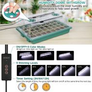 Germination and rooting kit with built-in lighting - 40 sockets, 2 LED strips, x 38 x 24 x 12cm