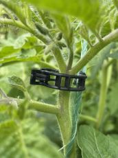 Bending Clipst for Tomatos black