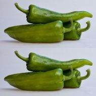 Семена от Люти Чушки - Anaheim - 15 броя