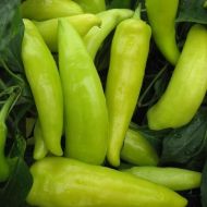 Семена от Люти Чушки - Hungarian Yellow Wax - 25 броя