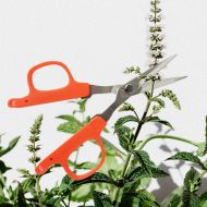 Провесионална Японска ножица  CHIKAMASA B-220S 