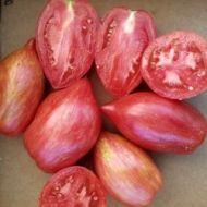 Домат рома - Streak Lightning - 15 семена