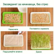 🌱 Комплект табли за покълване на микро зелени растения  с мрежа и капак и рамери 24/32см 