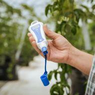 Bluelab pH PenPlus Replacement ProbePlus