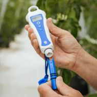 Bluelab pH PenPlus Replacement ProbePlus