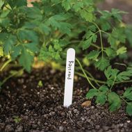 Bradas labels - 15x1.5cm - 25pcs with pencil