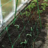 Climbing plant net 1.7 × 100 m