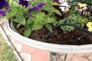 HydroDrip 15 automatic watering kit – for up to 15 pots
