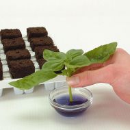 GT Root Riot® 77 – Tray with 77 organic seed and cutting starter cubes