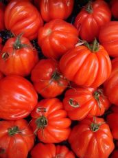 Bull`s Heart Beefsteaks Tomato - 25 seeds