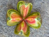 First Mate - beefsteak tomato - 15 seeds