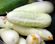 White Wonder Cucumber  - 30-40 seeds / 1 g.