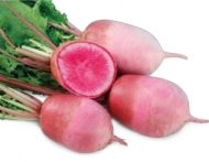 Chinese Radish Magnet F1 seeds - 1 g