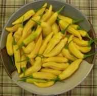 Aji Pineapple - 15 pcs. seeds