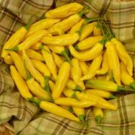 Aji Pineapple - 15 pcs. seeds