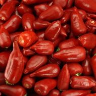 Aji Benito - 15 seeds