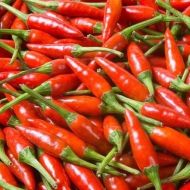 Tabasco Red - 10 seeds