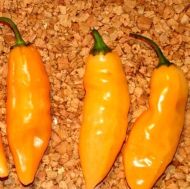 Lemon Colormix - 25 seeds
