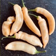 Lemon Colormix - 25 seeds
