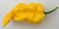 Lemon - 15 seeds
