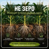 Не-Зеро (NE-ZERØ) – полезни гъби Metarhizium anisopliae и Paecilomyces fumosoroseus (Isaria)