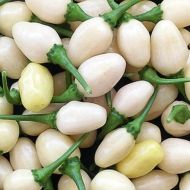 Хабанеро бяло (Habanero White Bullet) - 15 бр. семена