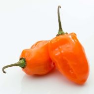 Хабанеро Оранжево (Habanero Orange) - 15 бр. семена