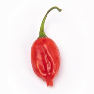 Семена от Люти чушки Хибриден сорт Тепин х Лемън дроп (Tepin x Lemon Drop) - 10 бр. семена