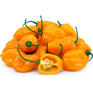 Habanero Orange - 15 pcs. seeds