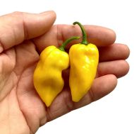 Хабанеро Лимон (Habanero Lemon) - 15 бр. семена
