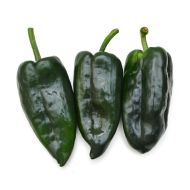 Ancho (Ancho Poblano) - 15 seeds