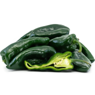 Ancho (Ancho Poblano) - 15 seeds