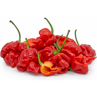 Trinidad Scorpion Moruga Blend - 5 seeds