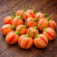 Peppapeach Stripey - 10 seeds