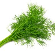 Копър - 4500 бр. / 5 гр. семена