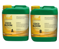 FERRO - Standart Cocos Bloom  - A&B 20
