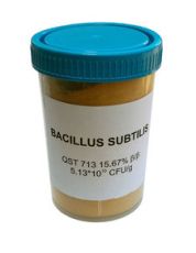 Bacillus Subtilis 100 γρ