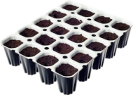 Spongepot tray 20бр. гъбички за вкореняване